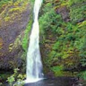 Meet your Posher, Shaun